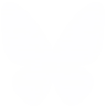 bluesky logo